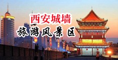 性感美女被操喷水网站中国陕西-西安城墙旅游风景区